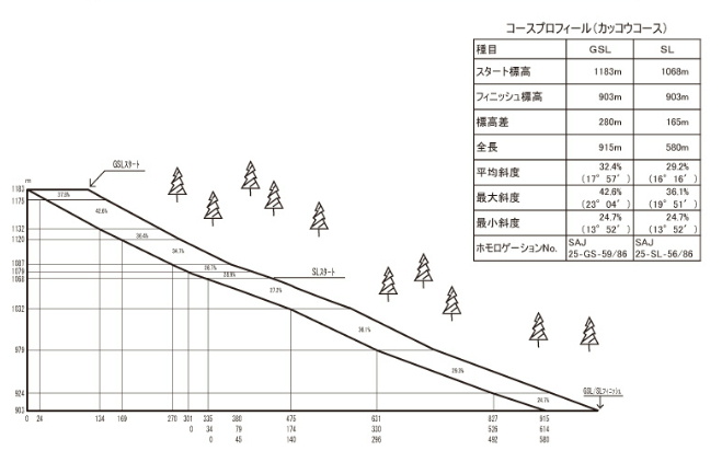 ZR[Xcfʐ}