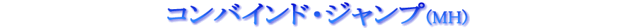 ƒRƒ“ƒoƒCƒ“ƒhEƒWƒƒƒ“ƒv(MH) ƒRƒ“ƒoƒCƒ“ƒhEƒWƒƒƒ“ƒv(MH)