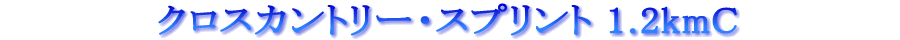 ƒNƒƒXƒJƒ“ƒgƒŠ[EƒXƒvƒŠƒ“ƒg 1.2kmC ƒNƒƒXƒJƒ“ƒgƒŠ[EƒXƒvƒŠƒ“ƒg 1.2kmC